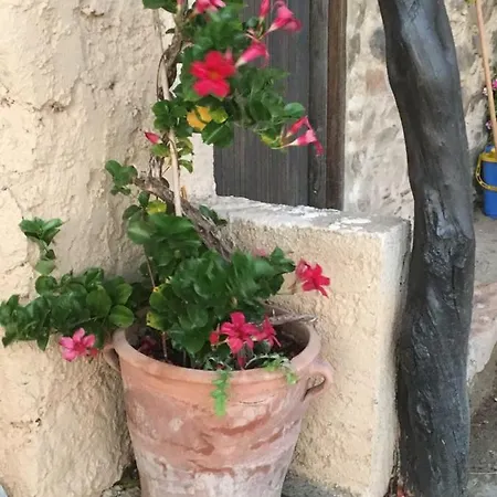 Livadia Arg & Geo Elafonisi